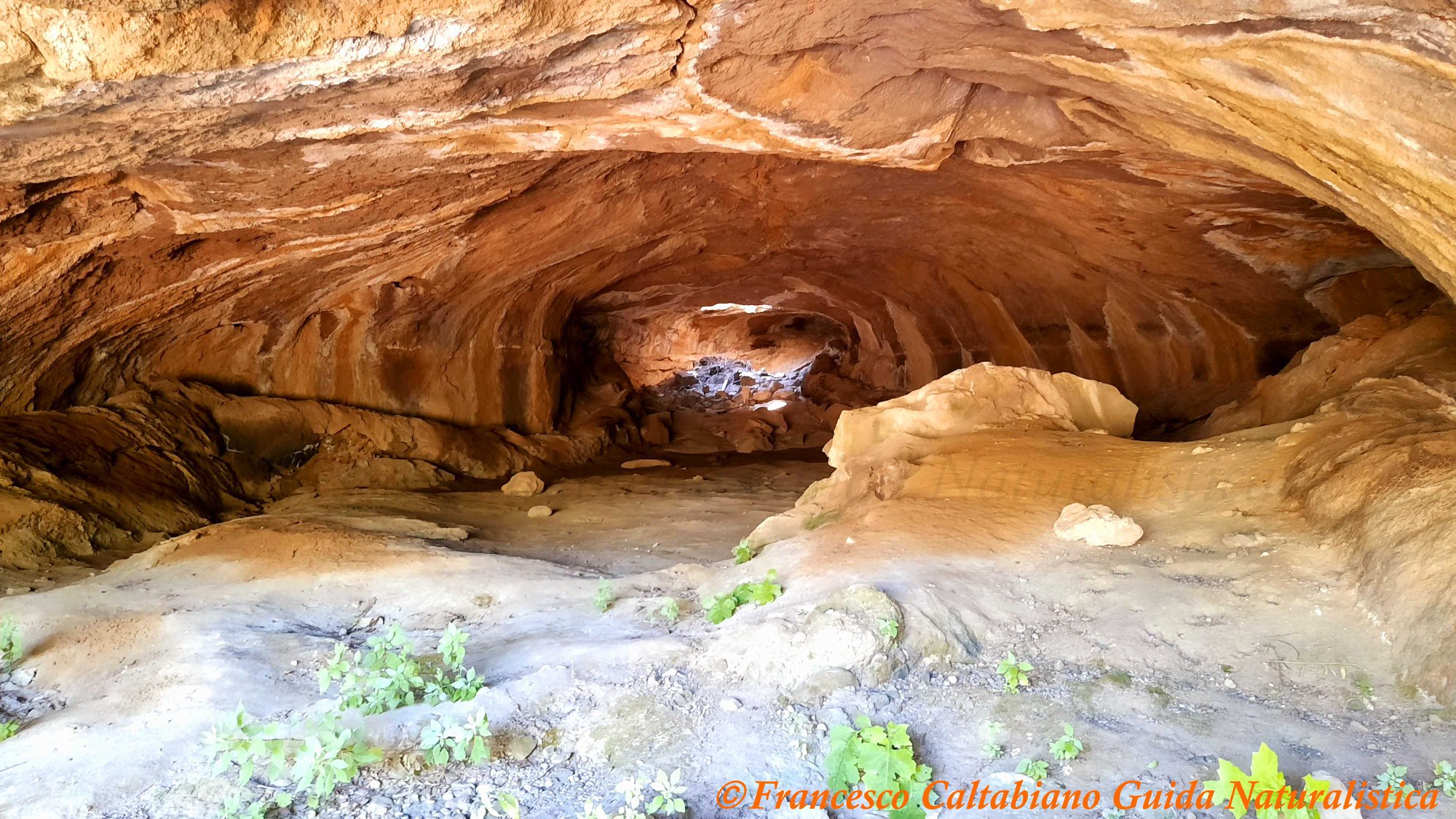 La Grotta dei 100 Cavalli